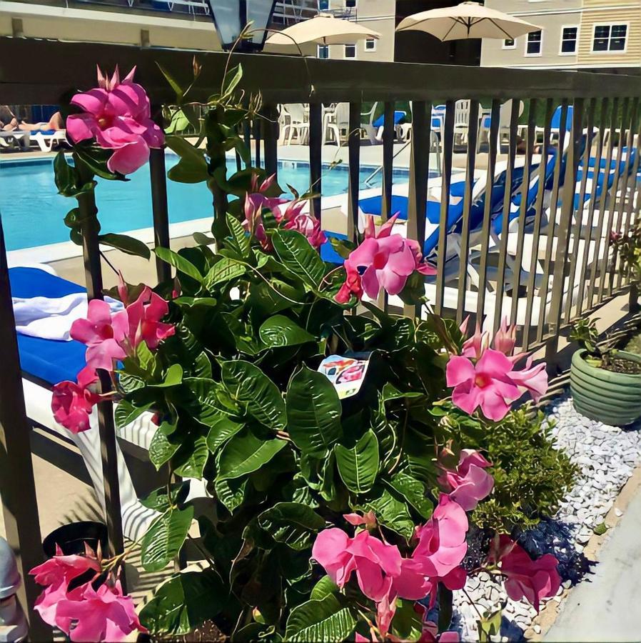 Beach Colony Motel Wildwood Crest Eksteriør billede